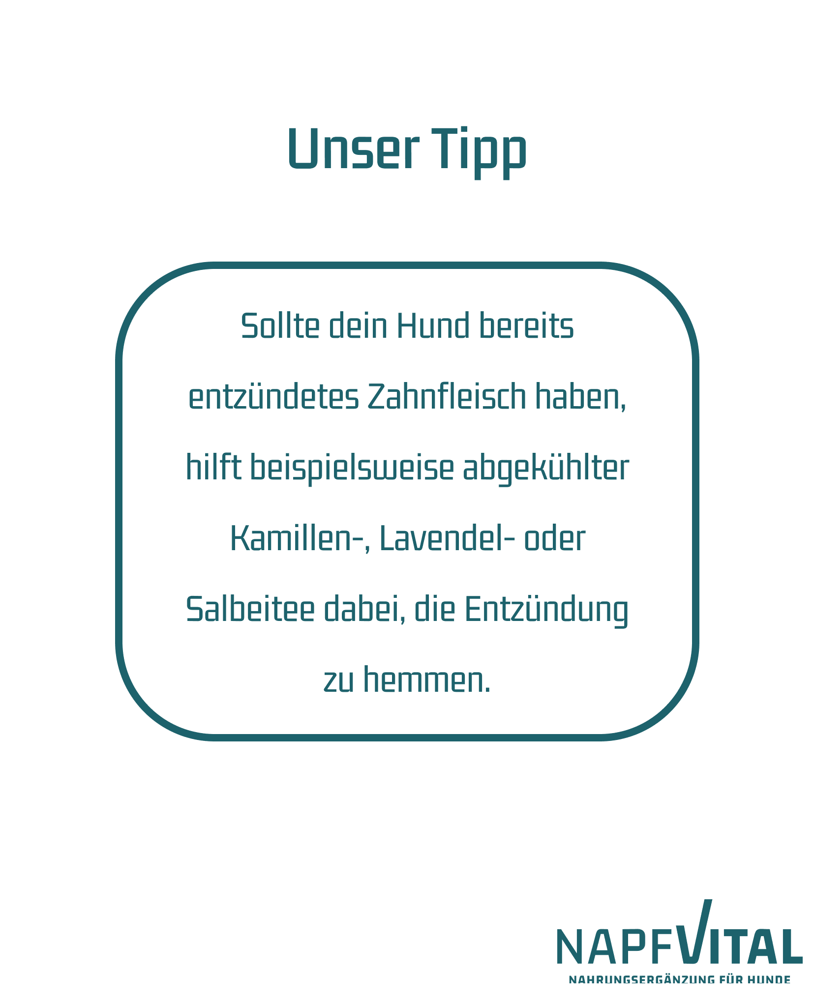 napfvital - GESUNDE ZÄHNE