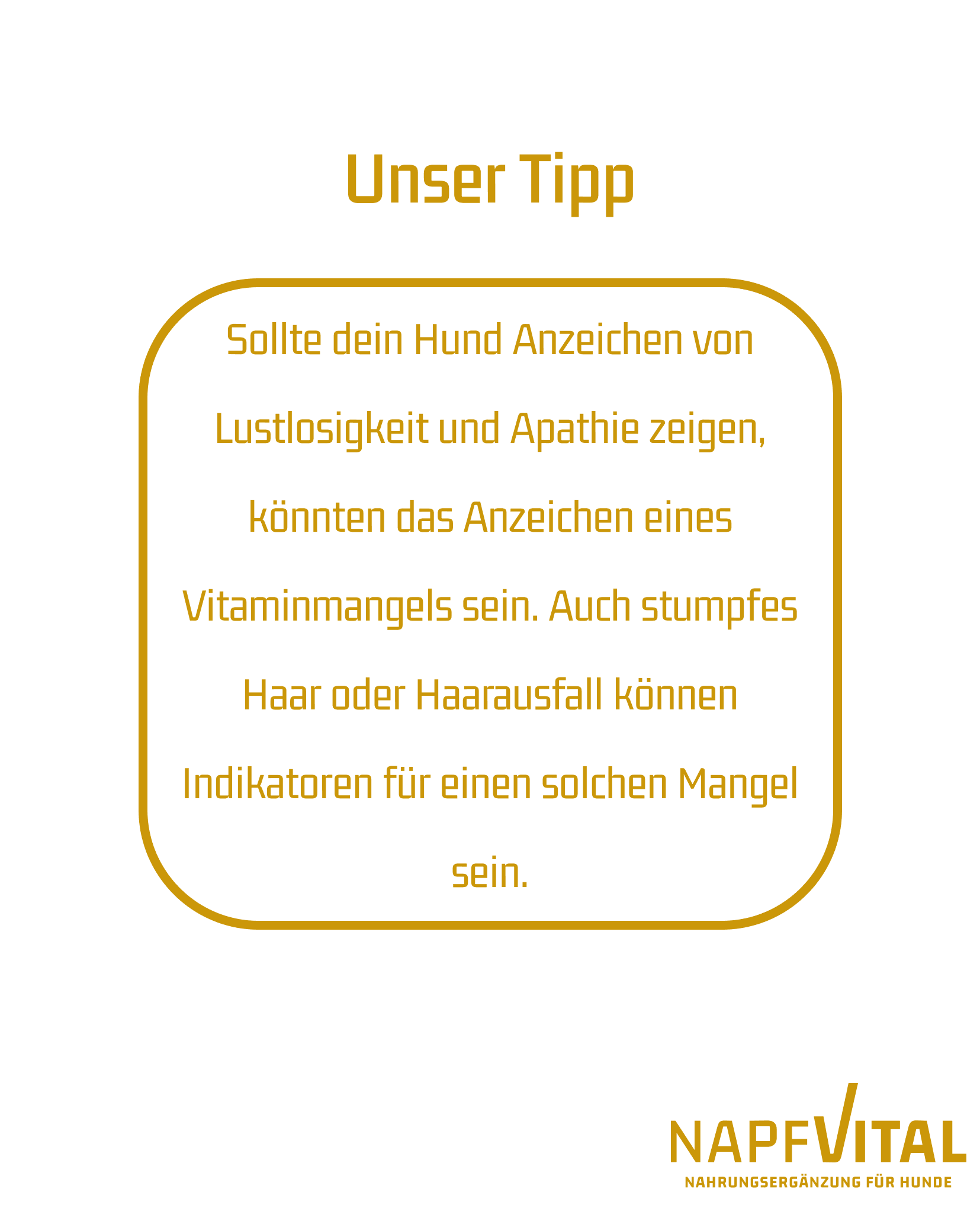 napfvital - VITAMIN BOOSTER